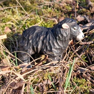 Wudimals® Black Sheep