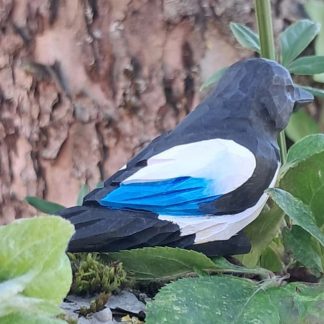 Wudimals® Magpie