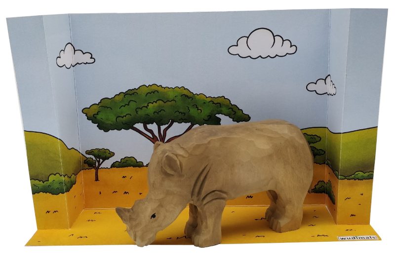 SAVANNAH HABITAT - 3D DIORAMA (COLOUR)